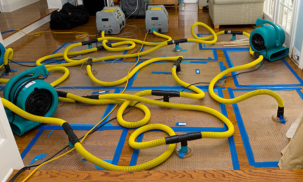 Professional Basement Flood Cleanup technician working in Rosedale, MD